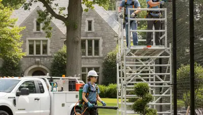 Boston, MA deer deterrent services protecting trees and shrubs from browsing damage