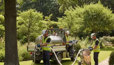 Tree care specialist fertilizing a Boston, MA tree for healthier growth