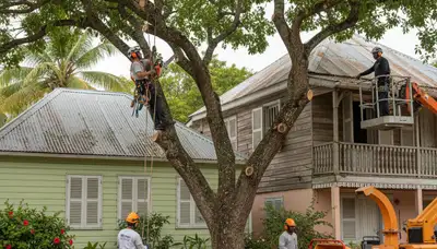 Boston, MA tree service team handling safe tree removal for a local residential property